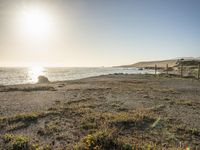 a grassy field by the shore and a cliff with rocks in the ocean in the background