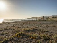 a grassy field by the shore and a cliff with rocks in the ocean in the background