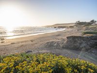 a grassy field by the shore and a cliff with rocks in the ocean in the background