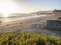 a grassy field by the shore and a cliff with rocks in the ocean in the background