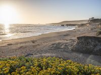 a grassy field by the shore and a cliff with rocks in the ocean in the background