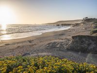 a grassy field by the shore and a cliff with rocks in the ocean in the background