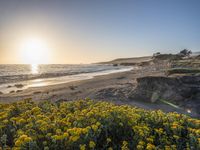 a grassy field by the shore and a cliff with rocks in the ocean in the background