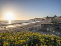 a grassy field by the shore and a cliff with rocks in the ocean in the background