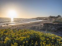 a grassy field by the shore and a cliff with rocks in the ocean in the background