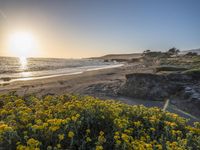 a grassy field by the shore and a cliff with rocks in the ocean in the background