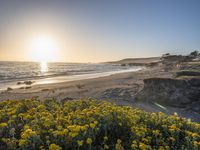 a grassy field by the shore and a cliff with rocks in the ocean in the background