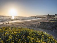 a grassy field by the shore and a cliff with rocks in the ocean in the background