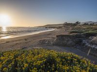 a grassy field by the shore and a cliff with rocks in the ocean in the background