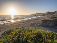 a grassy field by the shore and a cliff with rocks in the ocean in the background