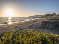 a grassy field by the shore and a cliff with rocks in the ocean in the background