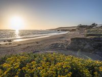 a grassy field by the shore and a cliff with rocks in the ocean in the background