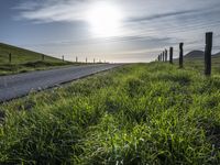 California Sunrise: A Highland Road at Dawn