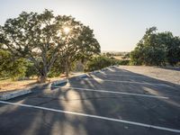 California Sunrise on Highway: Clear Sky and Beautiful Sunlight