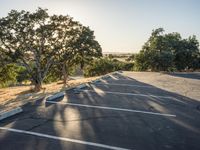 California Sunrise on Highway: Clear Sky and Beautiful Sunlight