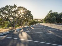 California Sunrise on Highway: Clear Sky and Beautiful Sunlight