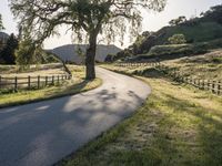 California Sunrise: A Landscape of Low and High Hills