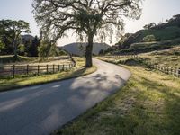 California Sunrise: A Landscape of Low and High Hills