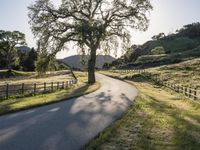 California Sunrise: A Landscape of Low and High Hills