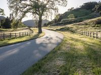 California Sunrise: A Landscape of Low and High Hills