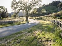 California Sunrise: A Landscape of Low and High Hills