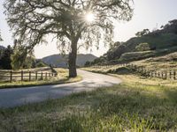 California Sunrise: A Landscape of Low and High Hills