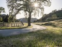 California Sunrise: A Landscape of Low and High Hills