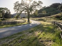 California Sunrise: A Landscape of Low and High Hills