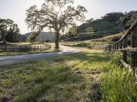 California Sunrise: A Landscape of Low and High Hills