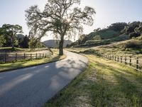 California Sunrise: A Landscape of Low and High Hills