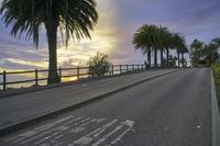 California Sunrise on Suburban Road with Palm Trees