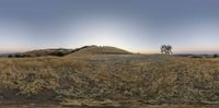 the sunset is setting over a hill and valley full of tall grass, weeds and plants