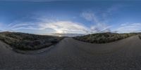 the fisheye lens image shows a straight street at sunset near the ocean and trees