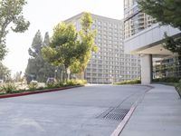 a paved sidewalk and side walk leading to buildings and trees next to the sidewalk, with parking spaces and parked cars