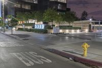 the street with yellow fire hydrant is in front of a large building at night