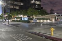the street with yellow fire hydrant is in front of a large building at night