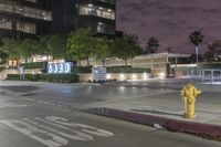 the street with yellow fire hydrant is in front of a large building at night