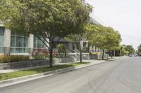 California Urban City Streets Trees 001