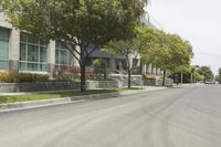 California Urban City Streets with Trees