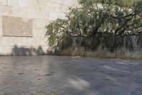 California's Urban Cityscape: A Concrete Jungle