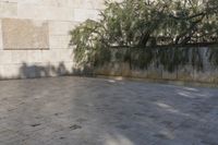 California's Urban Cityscape: A Concrete Jungle