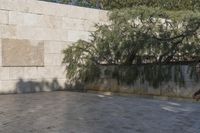 California's Urban Cityscape: A Concrete Jungle