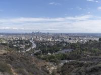 California Urban Cityscape: Los Angeles from Above