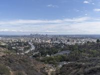 California Urban Cityscape: Los Angeles from Above