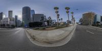 this fish eye lens image shows a street in front of tall buildings and palm trees