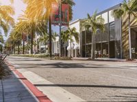 a street that has a bunch of palm trees and an empty sidewalk with red paint