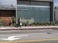 man walking by business on side of street with many cactus bushes in front of him