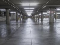 California Urban Jungle: High Rise Buildings