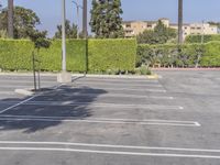 California Urban Landscape: Tree-Lined Streets