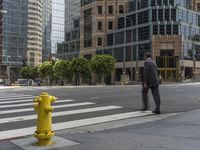 California Urban Light: A View of Skyscrapers